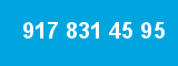 917 831 45 95